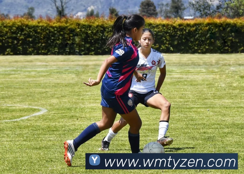 完美体育服务体系